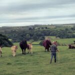 The Importance of Ethical Farming Practices for Livestock