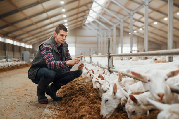 Shot of a young man using a digital tablet at a goat farm